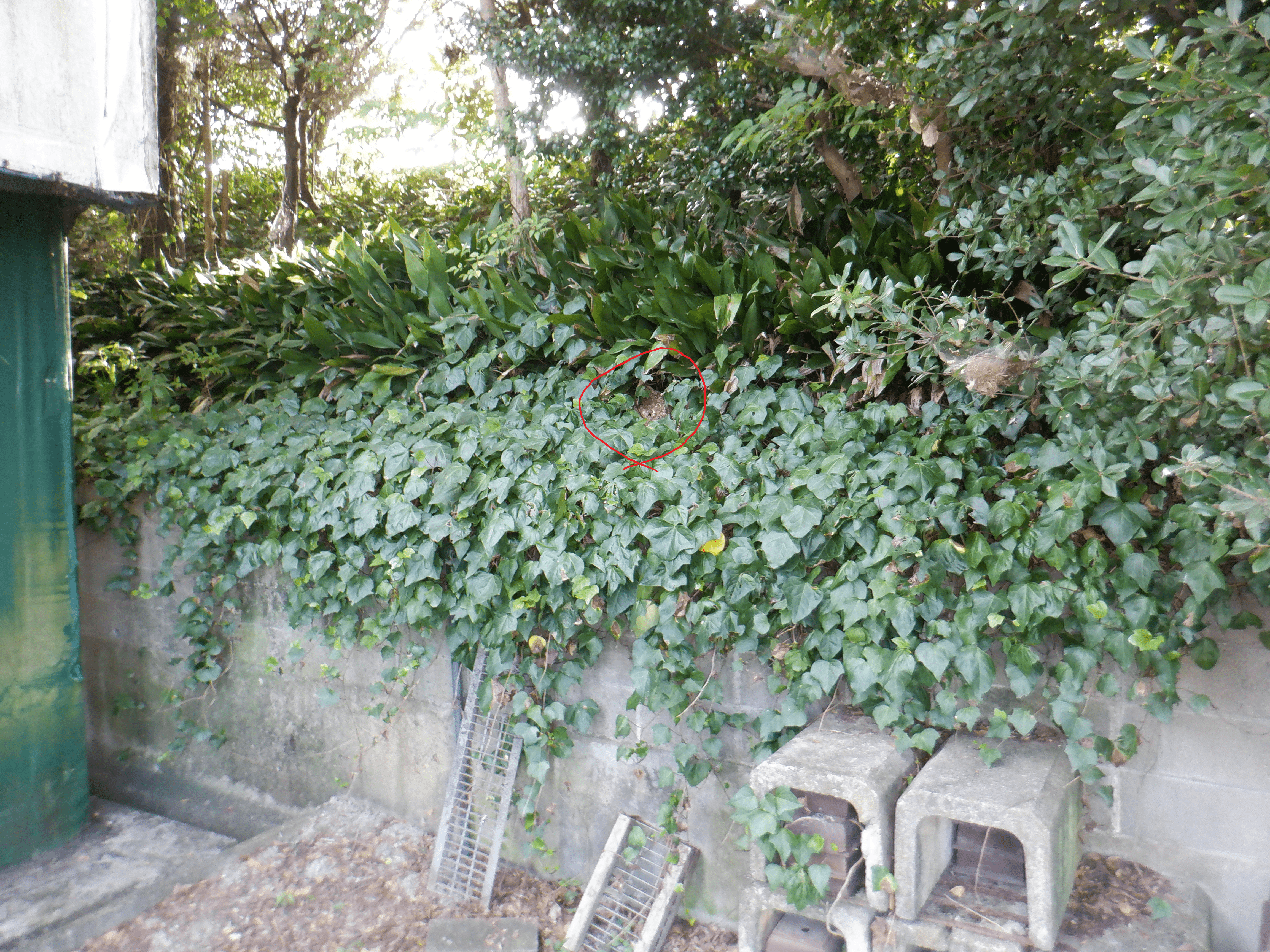 東浦事例１