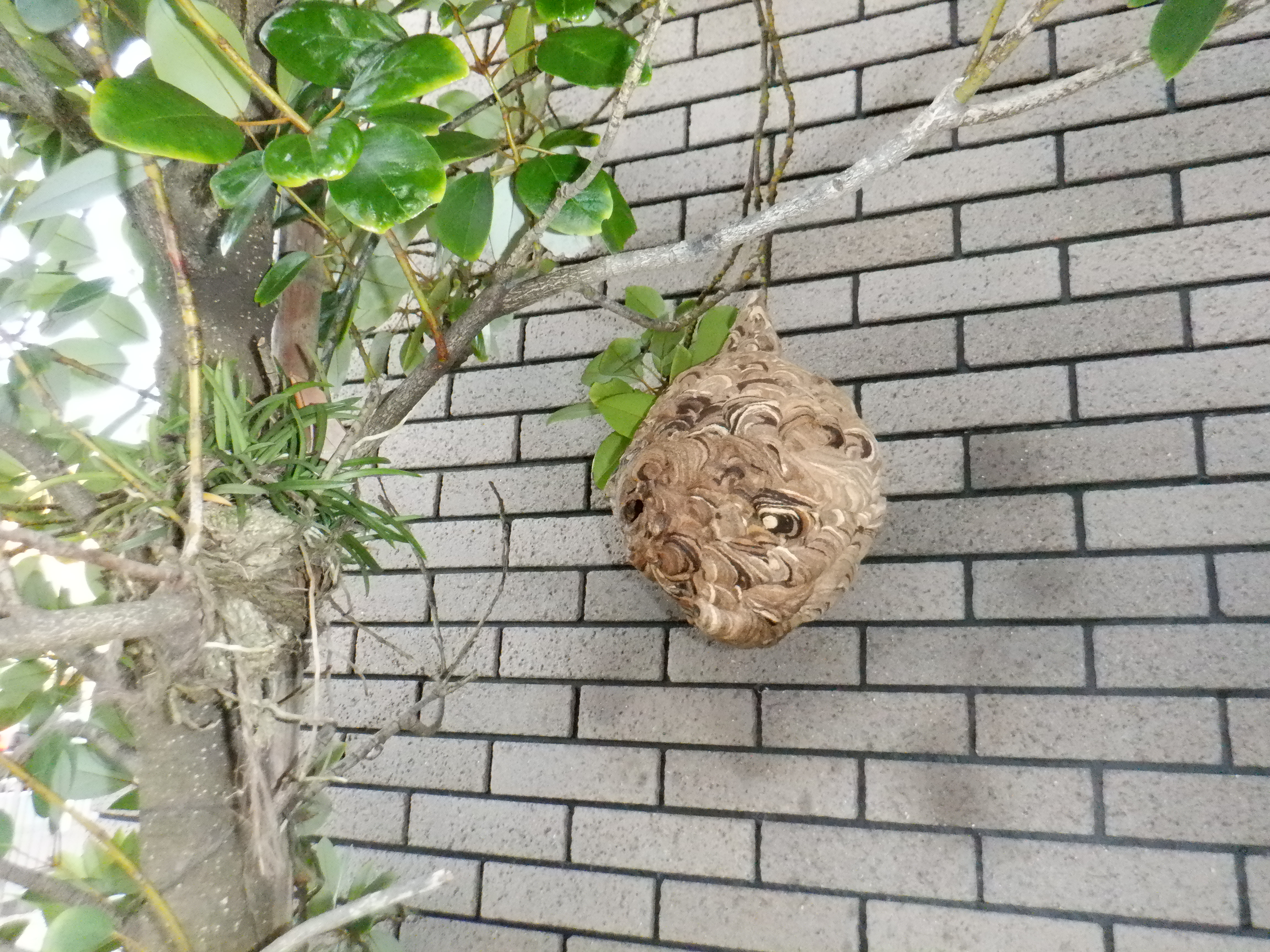 大府事例１